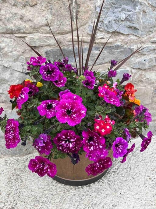 Tom Rocky'S Farmyard Villa Templemore Bagian luar foto