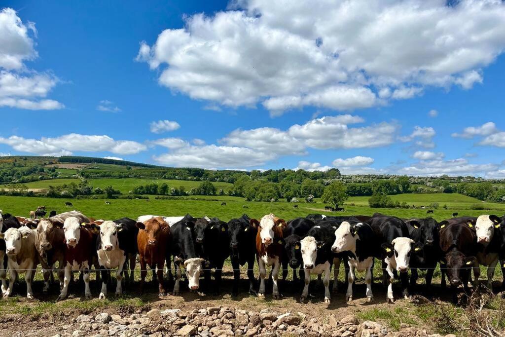 Tom Rocky'S Farmyard Villa Templemore Bagian luar foto
